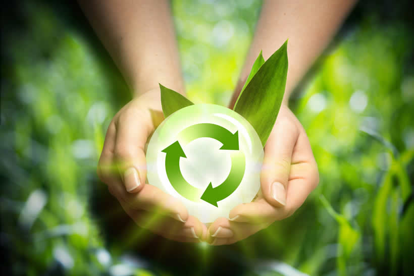 Bayer-Recycle Bayer-Recycle