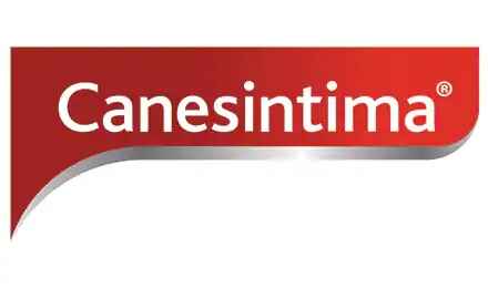 canestsintima