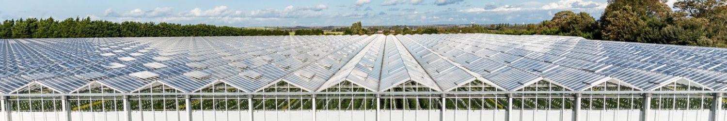 A large greenhouse with a glass roof, under a partly cloudy sky, surrounded by trees.