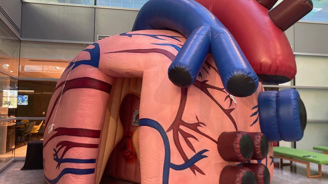 inflatable heart