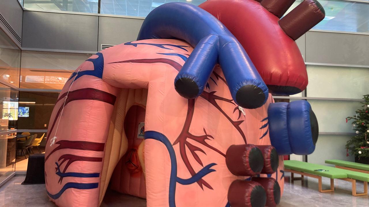 Baylab - Inflatable heart