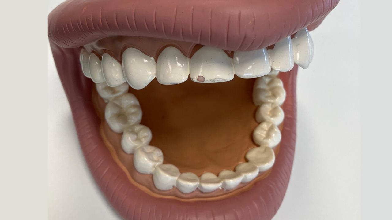 Baylab-Mouth