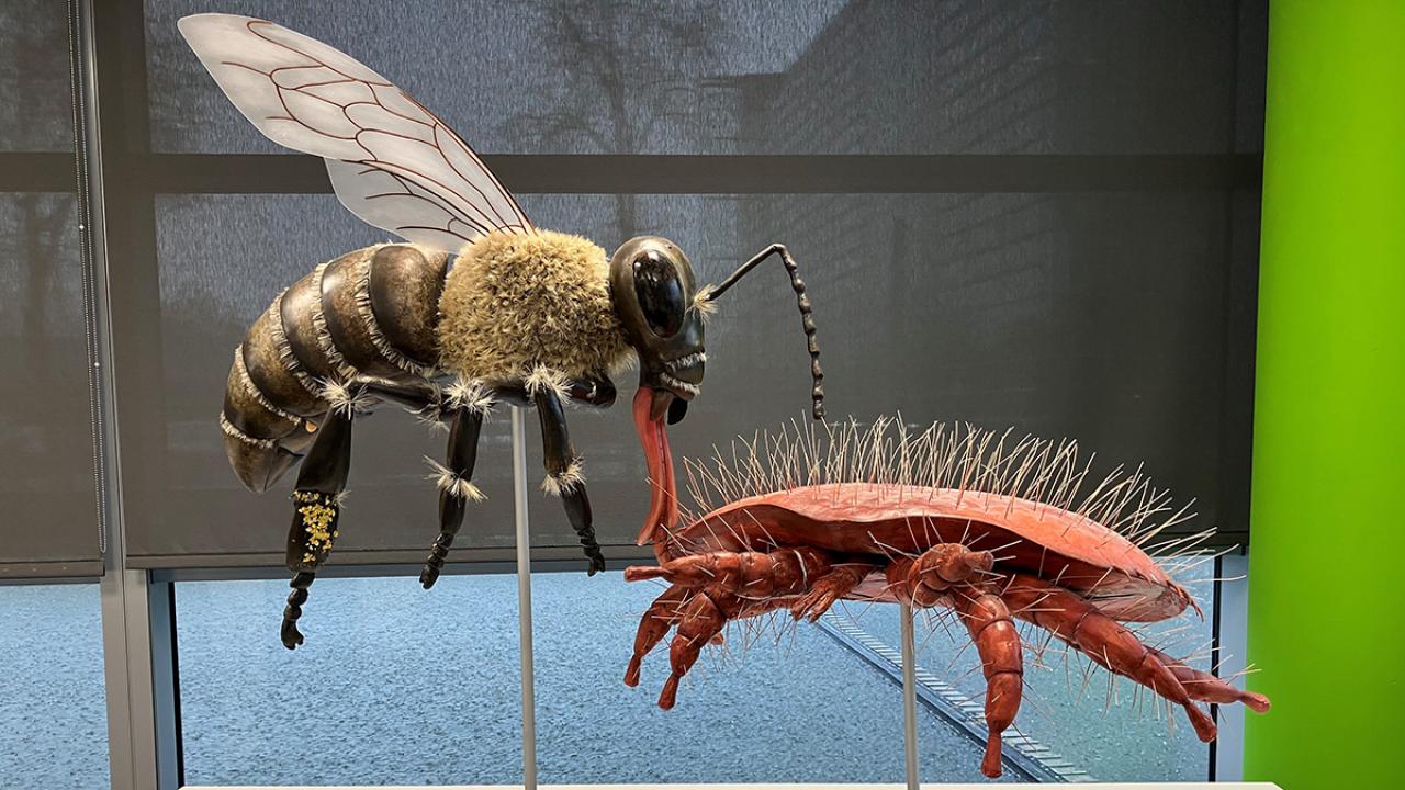 Bee & Mite Models