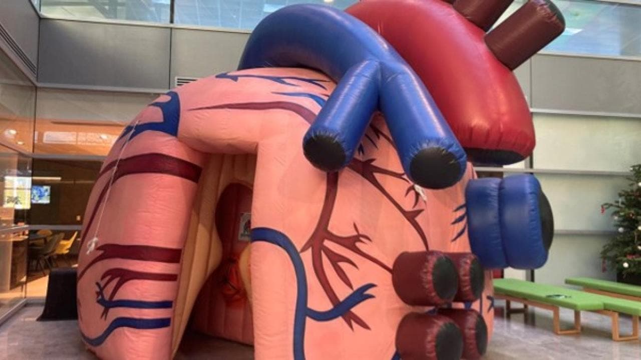 heart mechanics