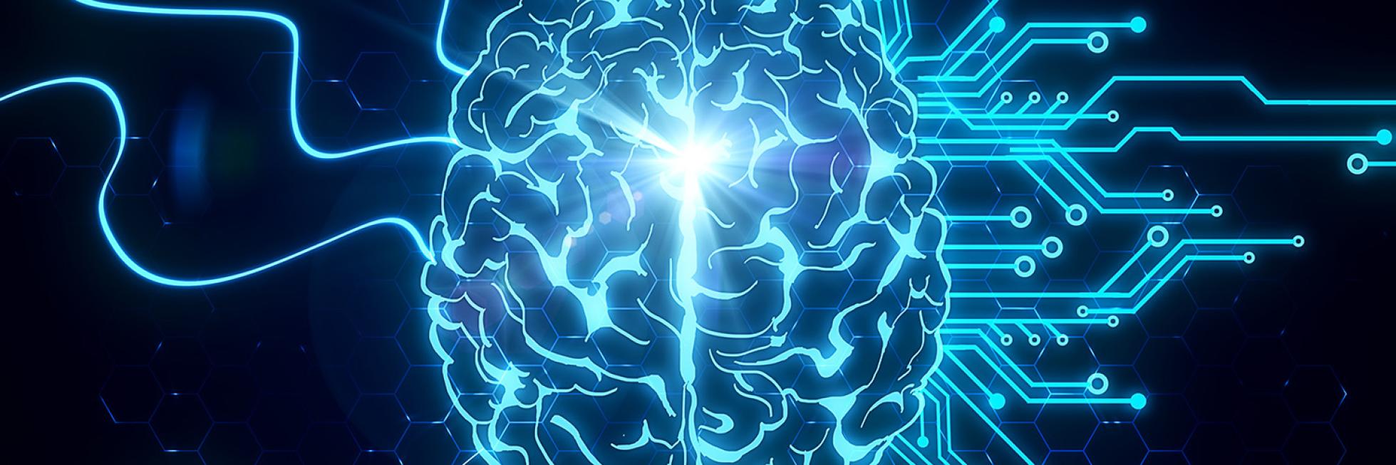 Blue Brain circuit