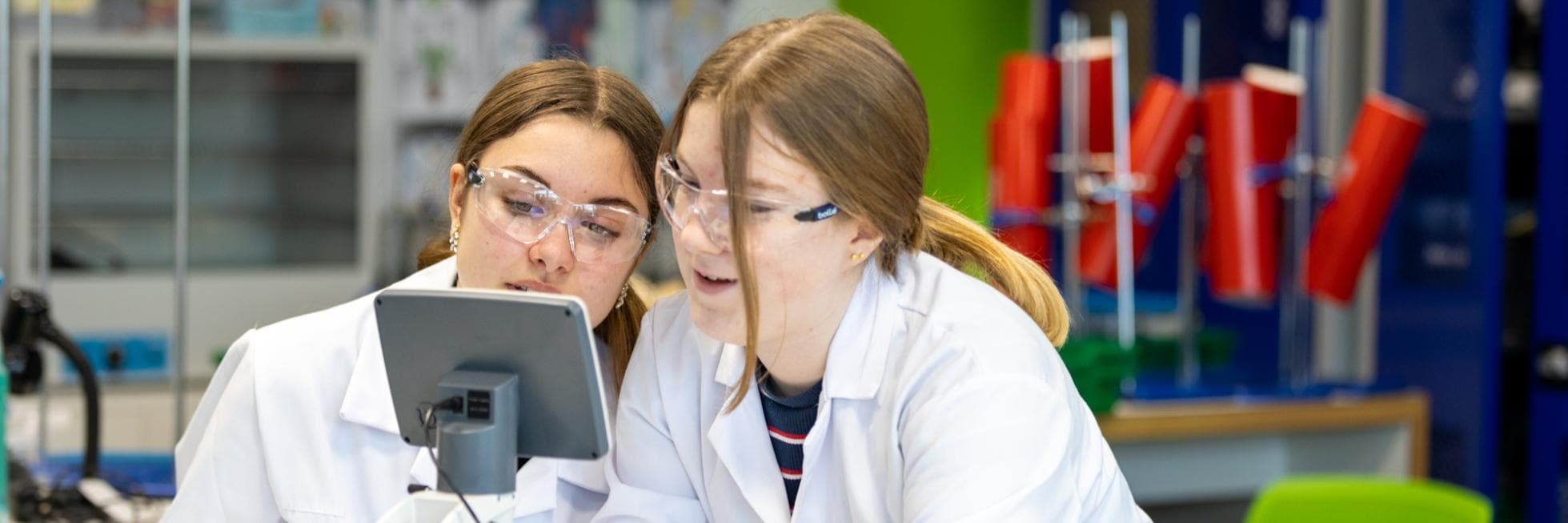 Students looking at a microscope