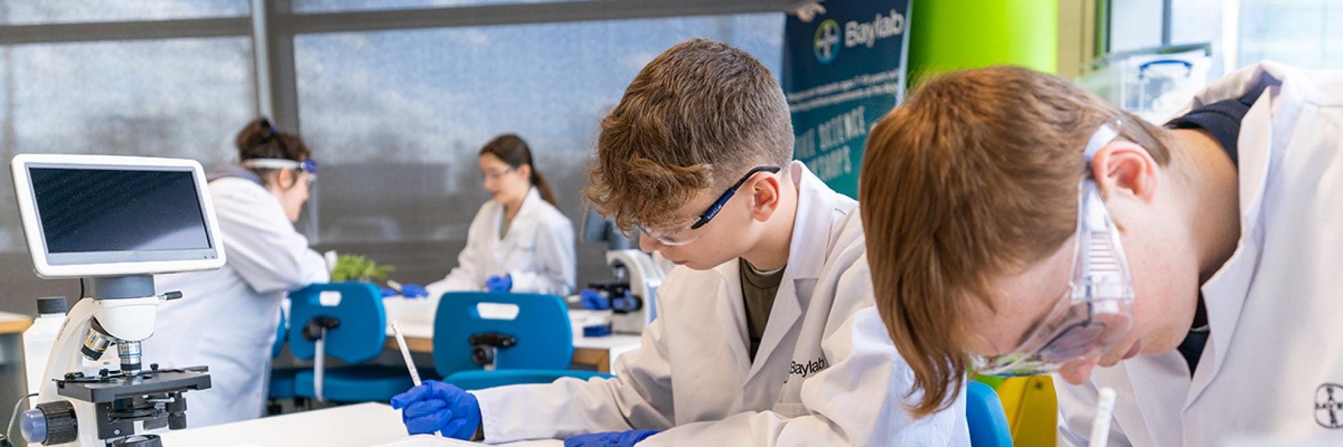 Baylab Student workshops